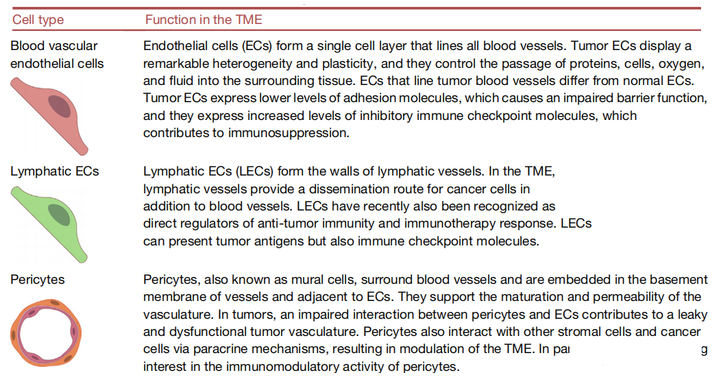 1690009137170102.png 640 (14).png