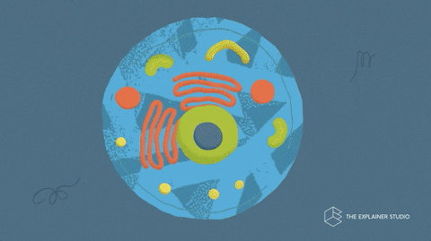 1690009467967256.gif 640 (3).gif