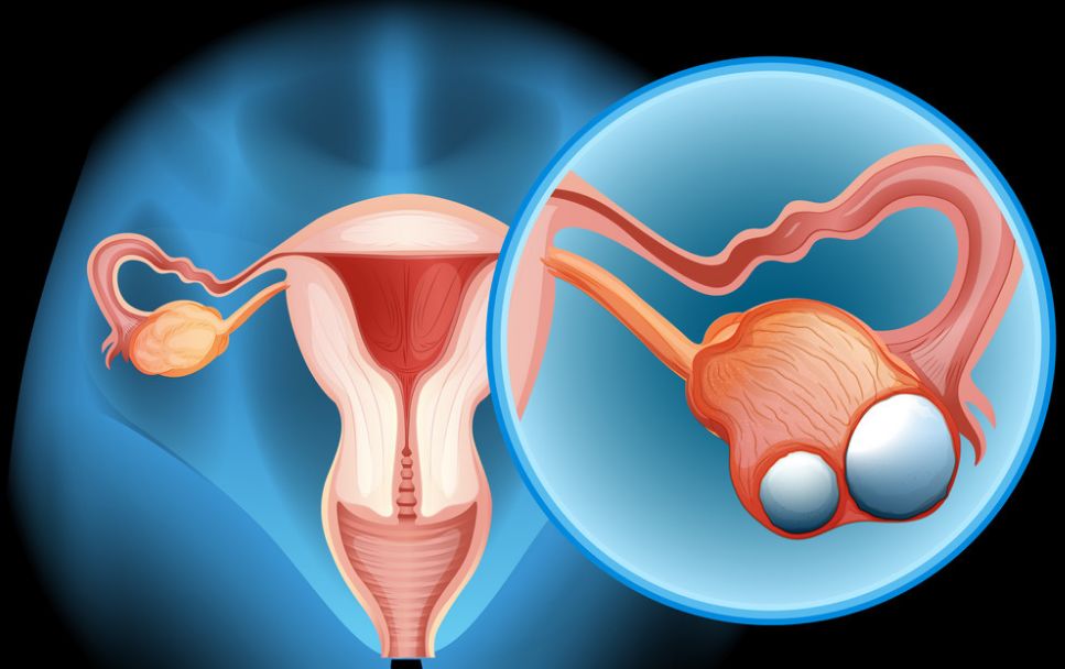 1691805382160623.jpg 20191001040556_4d7bf9.jpg