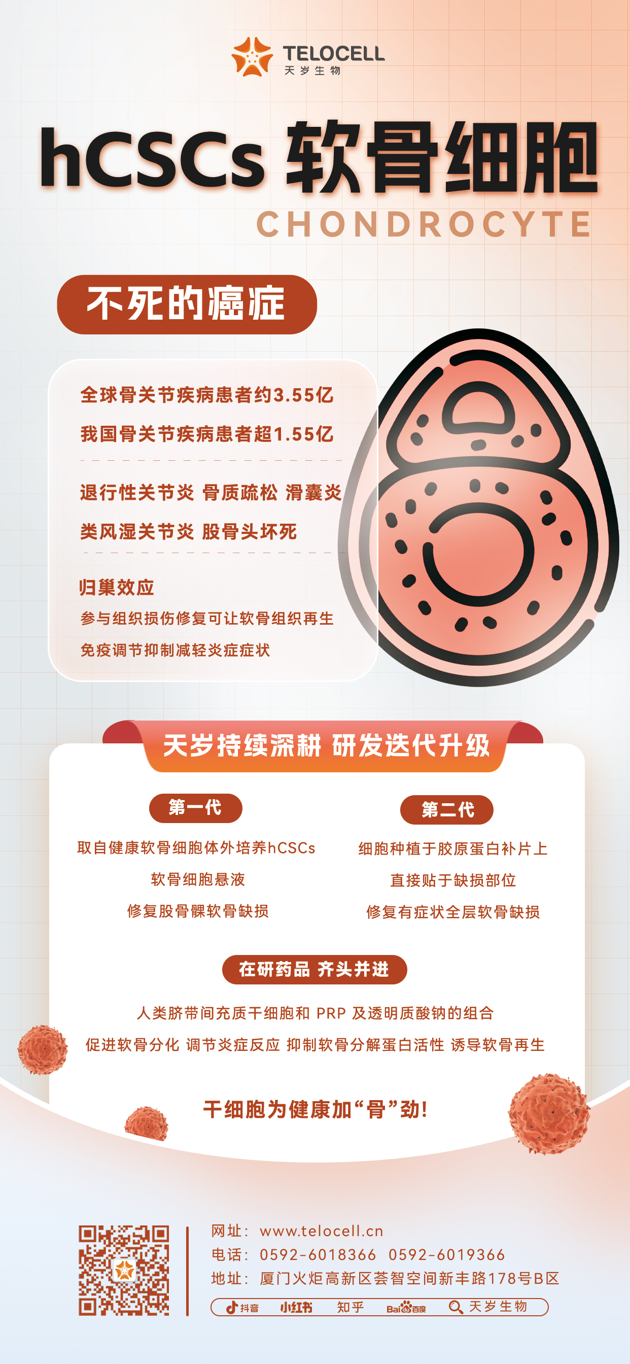 20230818 hCSCs 軟骨細胞.jpg