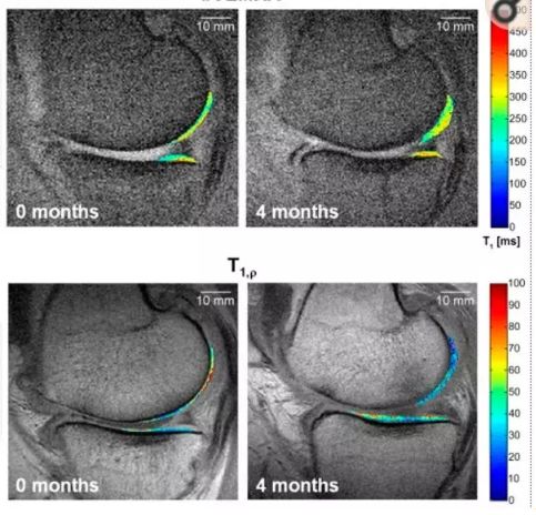 1694243862135928.jpg 640 (8).jpg
