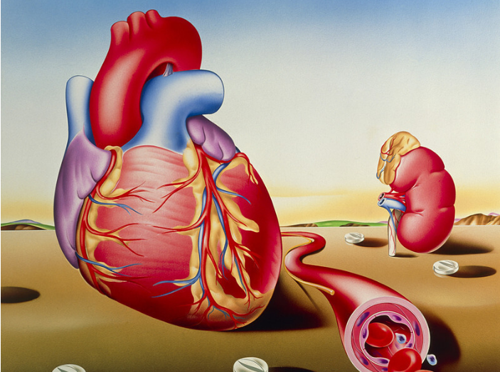 1696905925145052.jpg 1696746460537.jpg