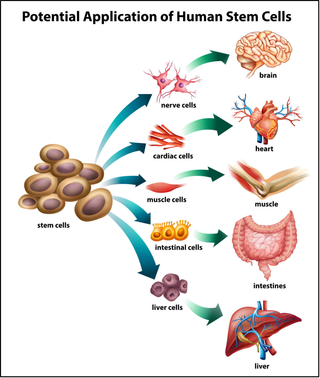 1696906082937752.png 640 (9).png