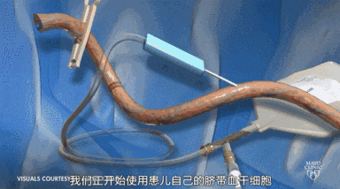 1697612284294667.gif 640.gif