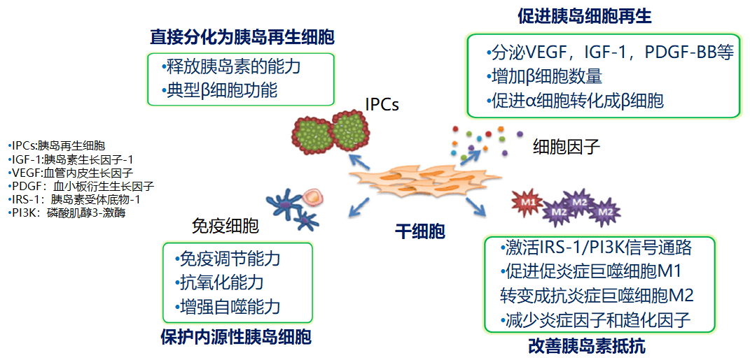 1697612615618278.png 95c86c369ddc42d2bffdc5b795323863.png