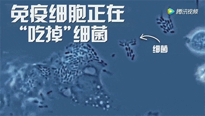 1700619550150862.gif 640.gif