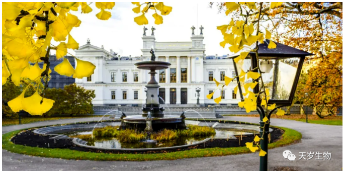 1701834169633219.png 1701834168908.png