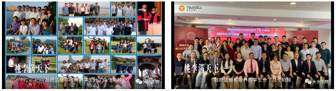 1702619450145012.png 1702619447676.png