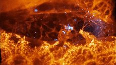 1703142084525360.gif 640.gif