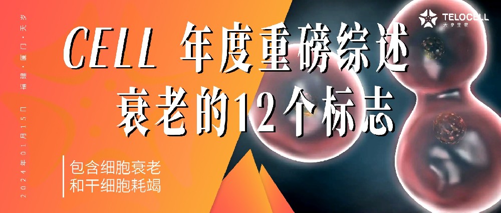 Cell年度重磅綜述首次提出衰老的12個標志,包含細胞衰老和干細胞耗竭!