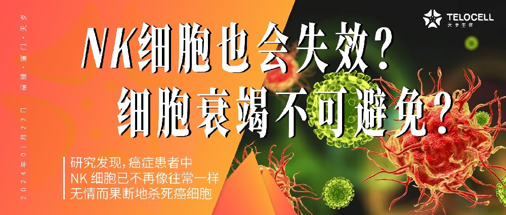 癌癥患者的NK細胞為何“失效”?普通人為何也會有NK細胞“失靈”時刻?