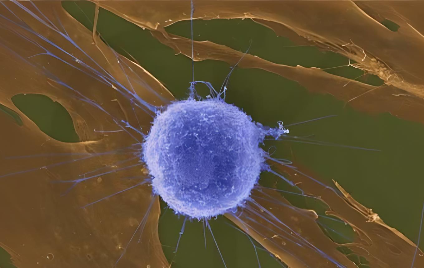 1716430454587159.png AI畫匠_1716350349.png