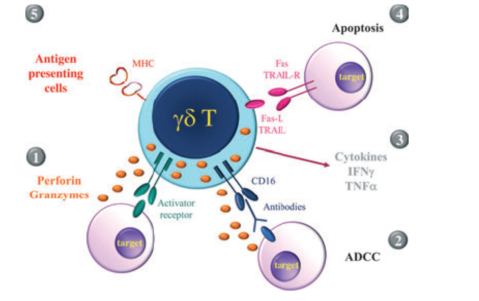 1716430465335204.png 微信圖片_20240522093612.png