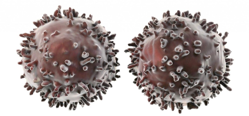 1716602571201009.jpg 241f95cad1c8a786c91748d80d43de3d70cf3ac7fa99.jpg