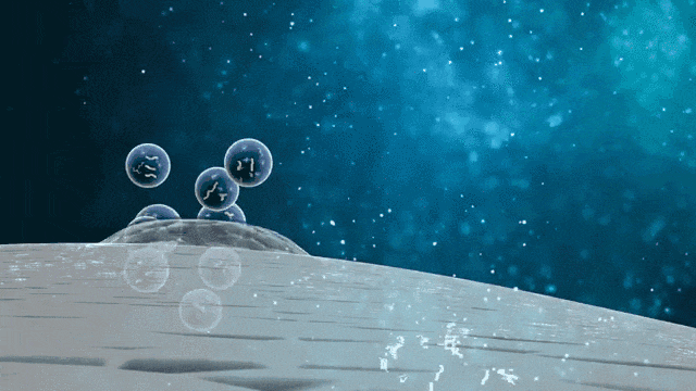 1718700384303215.gif 640.gif