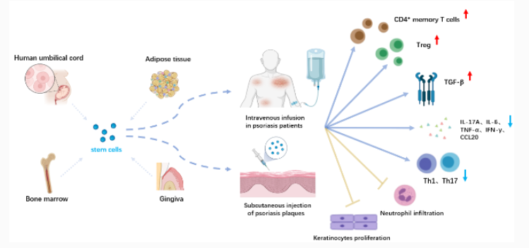 1720165715176569.png 640 (1).png