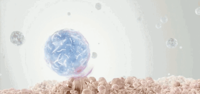 1721718188519993.gif 640 (1).gif