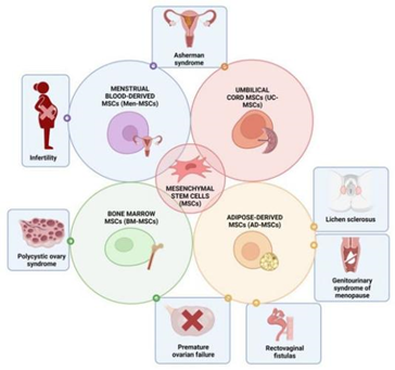 哪個年紀(jì)的女性適合用干細(xì)胞？20歲~60歲女性保養(yǎng)秘訣大公開