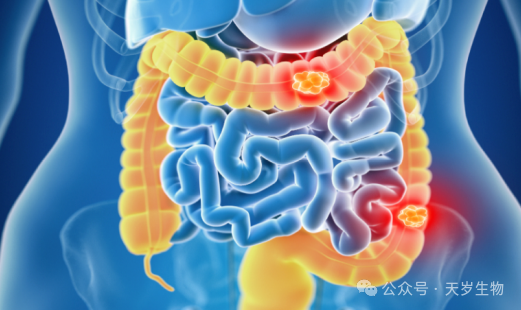 1724318722152830.png 微信圖片_20240822172501.png