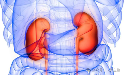 1724318791107838.png 微信圖片_20240822172517.png