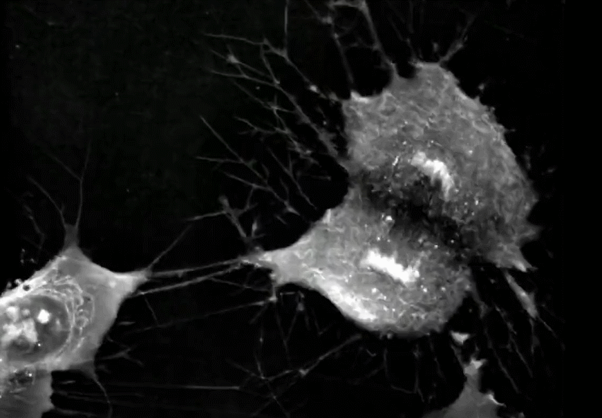 1724741242843093.gif 640 (4).gif