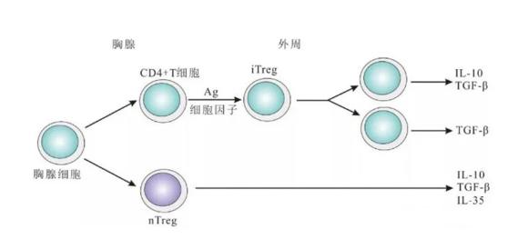 1725872990149950.jpg 調節.jpg