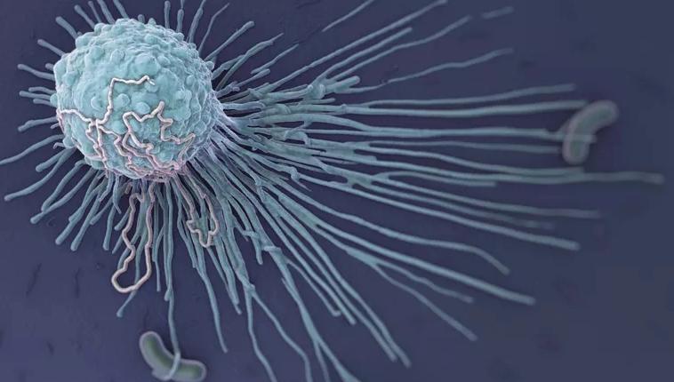 1725873123184801.jpg 30989.jpg