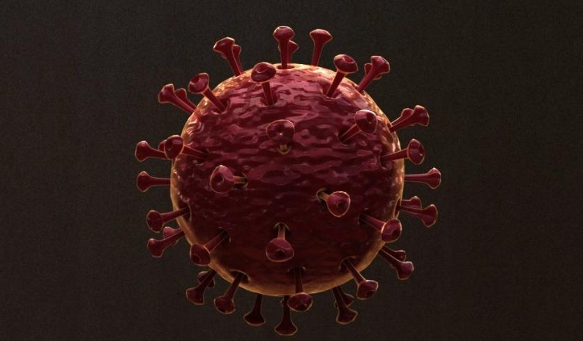 1725873281388989.jpg 病毒.jpg