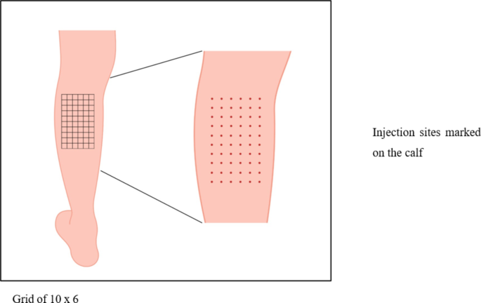 1728723386184377.png 640 (18).png