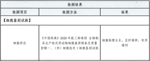 1734340983125834.png 1734329765593.png