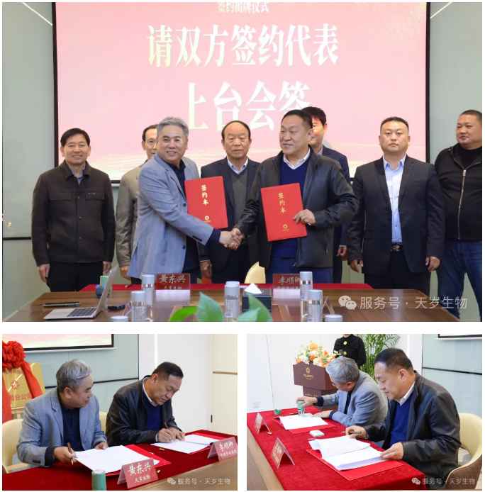 1740364540181142.png 1740364541658.png