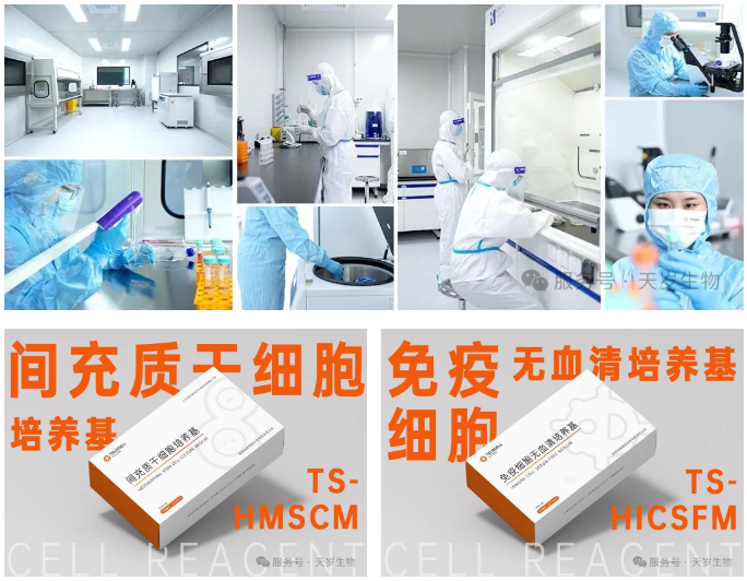 1740366103131348.png 1740366101042.png