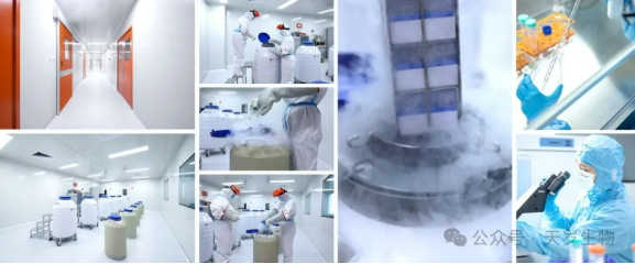 1748335658210984.png image.png