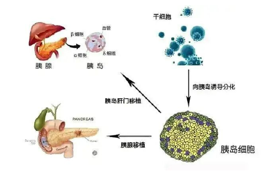 1759195046147738.png image.png