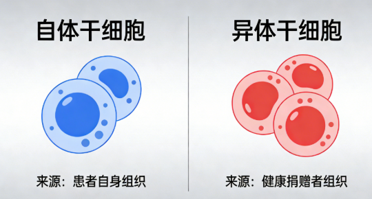 選擇干細胞：你的年齡與病情決定最佳方案