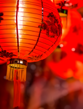 1773388338588571.png 1773388338588571.png